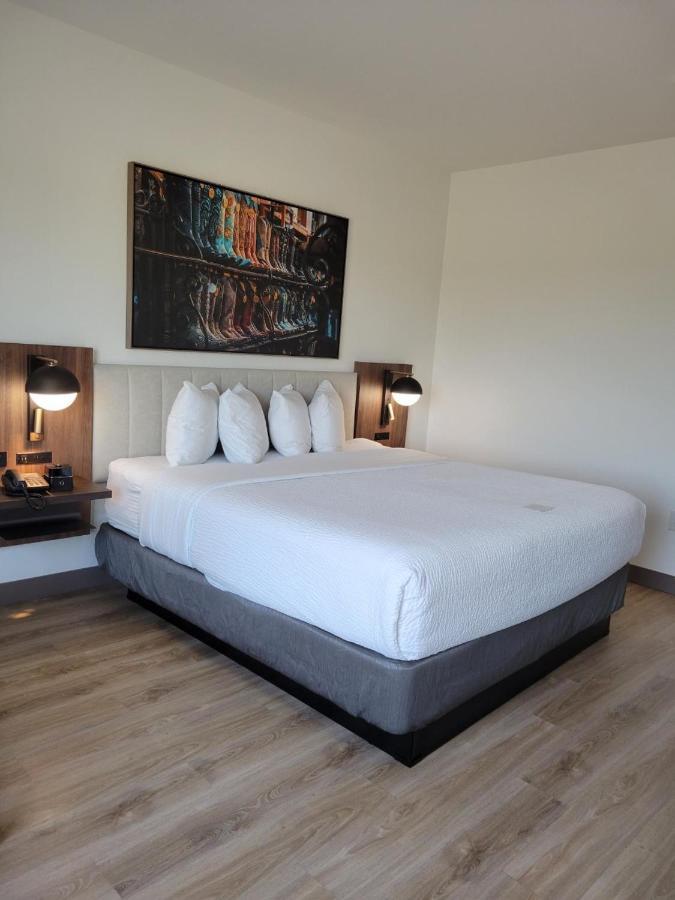 La Quinta Inn & Suites By Wyndham Terrell Extérieur photo