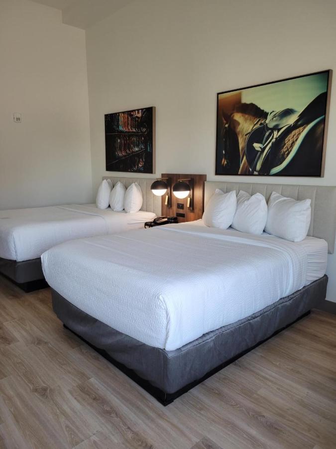 La Quinta Inn & Suites By Wyndham Terrell Extérieur photo
