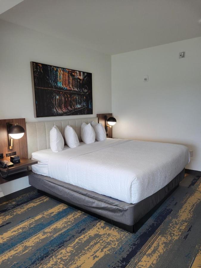 La Quinta Inn & Suites By Wyndham Terrell Extérieur photo